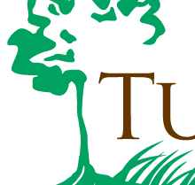 turf logic logo